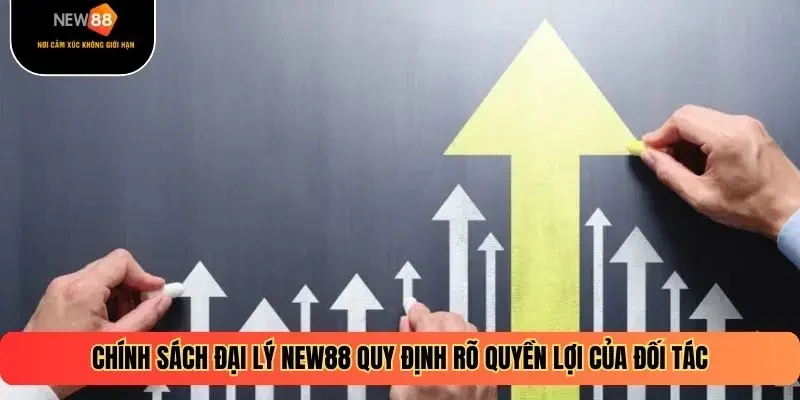 Chính sách đại lý NEW88 quy định rõ quyền lợi của đối tác