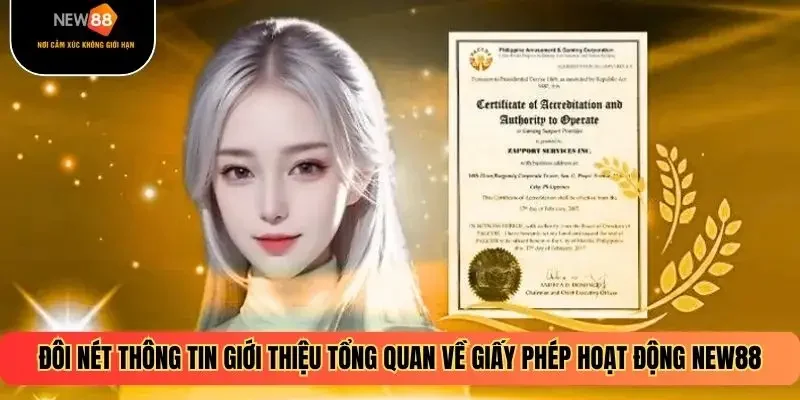 Đôi nét thông tin giới thiệu tổng quan về giấy phép hoạt động NEW88
