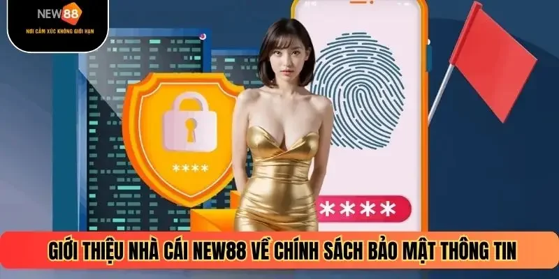 Giới thiệu nhà cái NEW88 về chính sách bảo mật thông tin