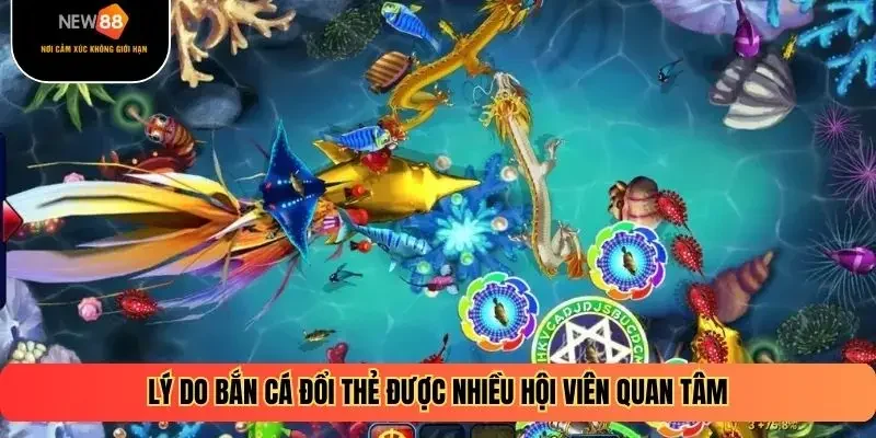 Lý do bắn cá đổi thẻ được nhiều hội viên quan tâm